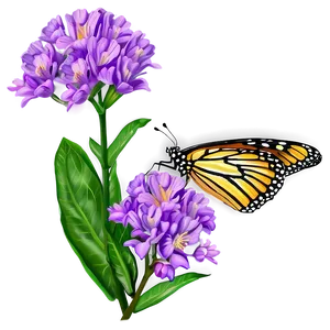 Colorful Monarch Butterfly Png Dur78 PNG image