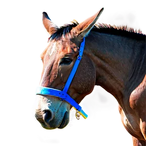 Colorful Mule Art Png 06292024 PNG image