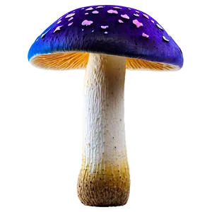 Colorful Mushroom PNG 36