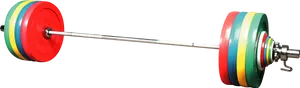 Colorful Olympic Weightlifting Barbell