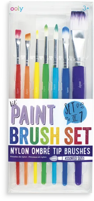 Colorful Ombre Paint Brush Set Packaging