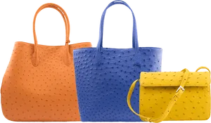 Colorful Ostrich Leather Tote Bags PNG image