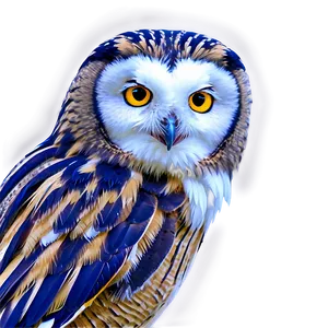 Colorful Owl Png Wdn PNG image