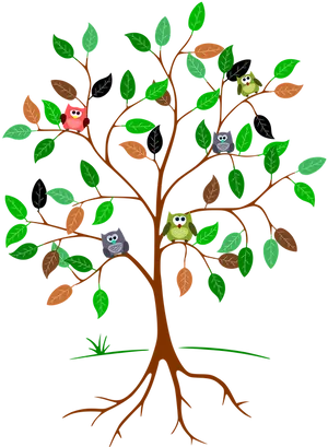 Colorful Owlson Treewith Roots PNG image