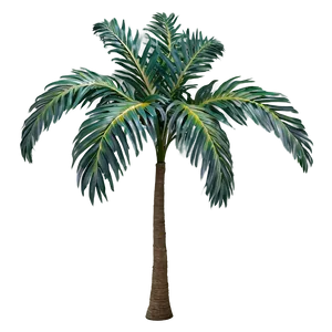 Colorful Palm Leaves PNG Shp