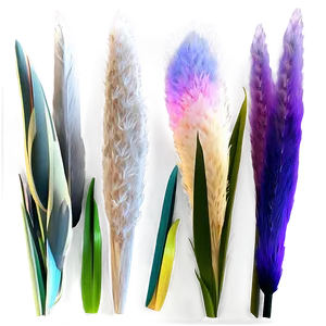 Colorful Pampas Mix PNG 06272024 PNG