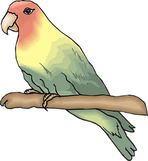 Colorful Parakeet Illustration