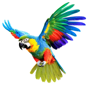 Colorful Parrot Flying Png 7 PNG image