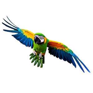 Colorful Parrot Flying Png Rjb60 PNG image