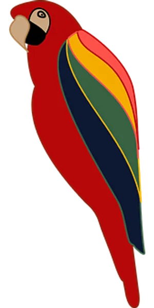 Colorful Parrot Illustration