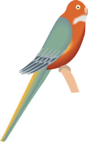 Colorful Parrot Illustration