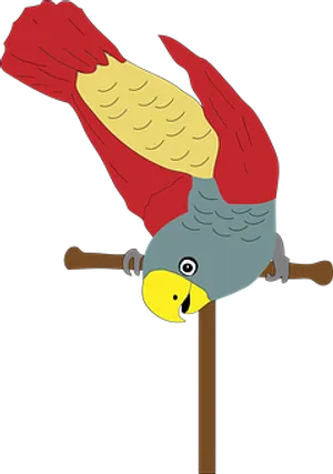 Colorful Parrot Illustration