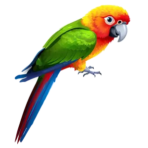 Colorful Parrot PNG 45
