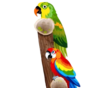 Colorful Parrot PNG Xwy