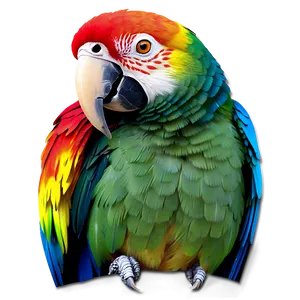 Colorful Parrot Sticker Png Bvu PNG image