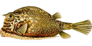 Colorful_ Patterned_ Fish_ Illustration