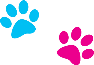 Colorful Paw Prints Illustration PNG image