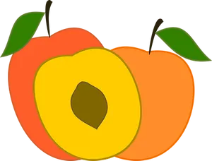Colorful Peach Graphic PNG image