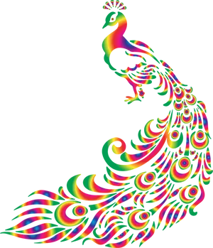Colorful Peacock Art Illustration PNG