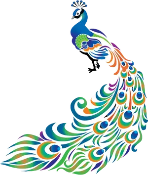 Colorful Peacock Artwork PNG image