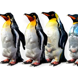 Colorful Penguin PNG Ojc12