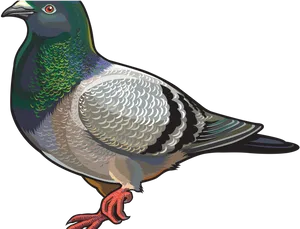 Colorful Pigeon Illustration PNG image