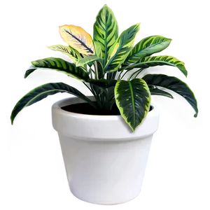 Colorful Plant Png 05032024 PNG image