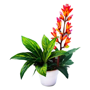Colorful Plant Png Mqk PNG image