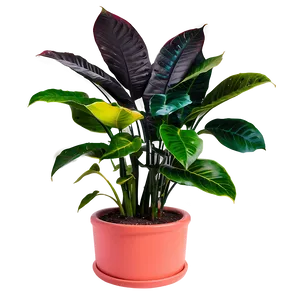 Colorful Plants Png 99 PNG image