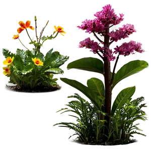 Colorful Plants Png Dse96 PNG image