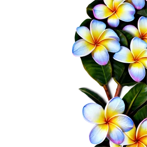 Colorful Plumeria PNG Dmd