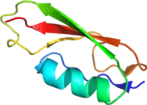 Colorful Protein Structure3 D Model PNG image