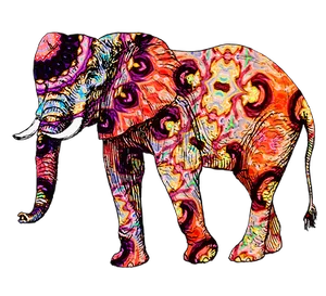 Colorful Psychedelic Elephant Art
