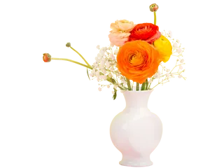 Colorful_ Ranunculus_ Bouquet_in_ White_ Vase
