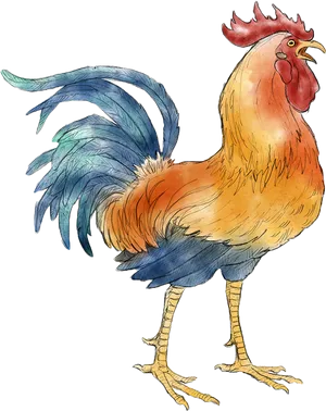 Colorful Rooster Illustration
