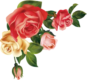 Colorful Rose Vector Illustration PNG image