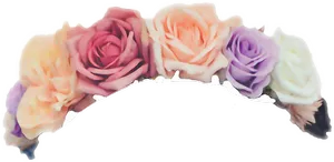 Colorful Roses Gradient Background PNG image