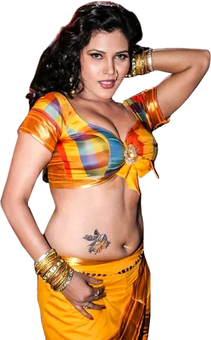 Colorful_ Saree_ Actress_ Pose PNG image