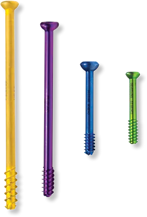 Colorful Screws Set
