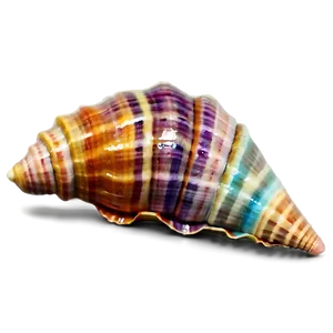 Colorful Seashell Collection PNG 05242024