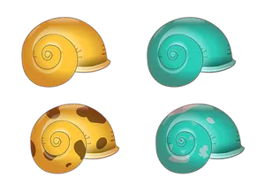 Colorful Shell Illustrations