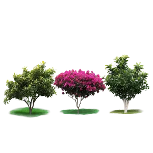 Colorful Shrubs PNG 06122024 PNG