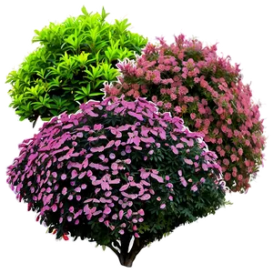 Colorful Shrubs PNG 44