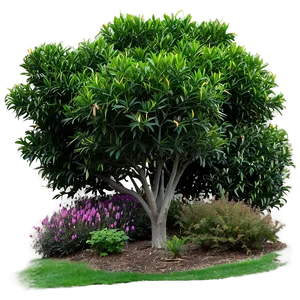 Colorful Shrubs PNG Anb83 PNG