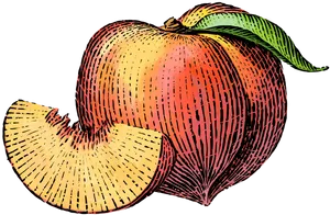 Colorful Sketched Peachand Slice
