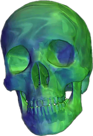 Colorful Skull Artwork PNG