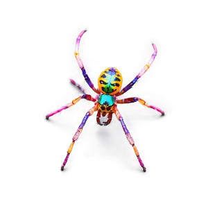 Colorful Spider Png Odg10 PNG image