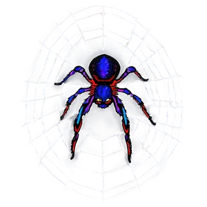 Colorful Spideron Web PNG image