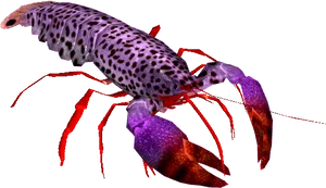 Colorful Spotted Lobster PNG image