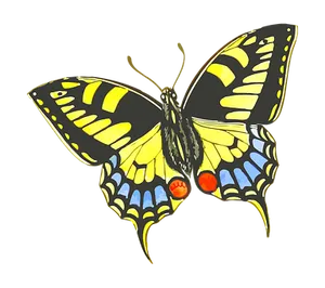 Colorful Swallowtail Butterfly Illustration